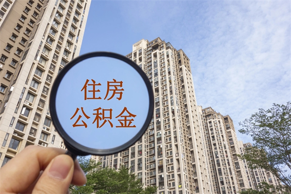 丰城个人公积金查询-白城公积金代办服务